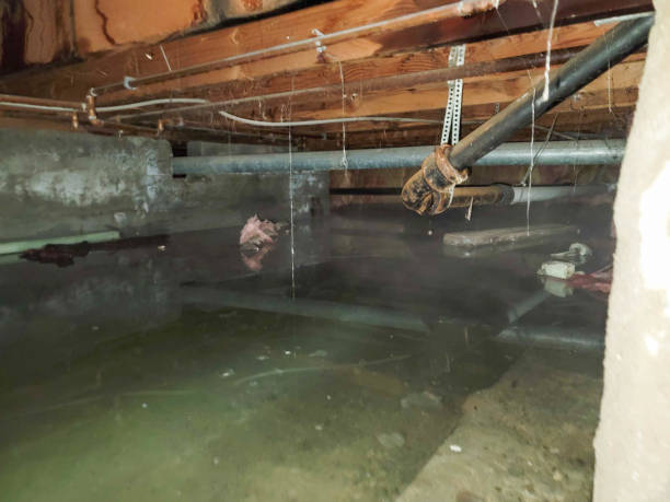 Best Local water damage restoration  in St Cloud, MN