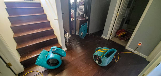 Best 24-hour water damage restoration  in St Cloud, MN