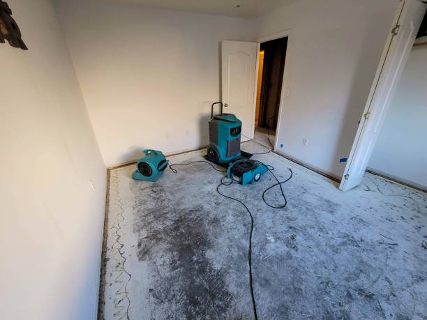 Best Flooded house restoration  in St Cloud, MN